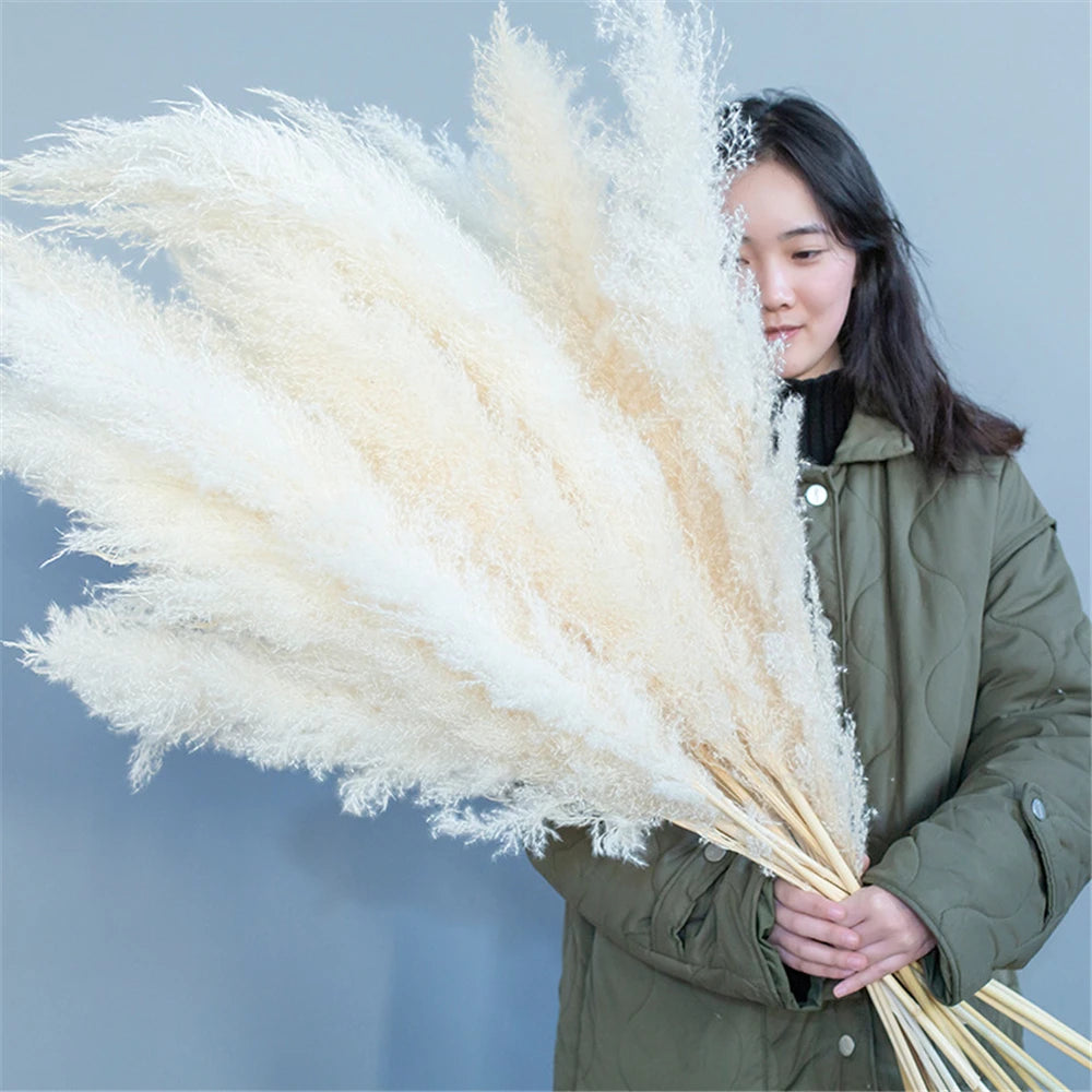 Pampasgras - Boho Natur - 80-120cm Vasendekor