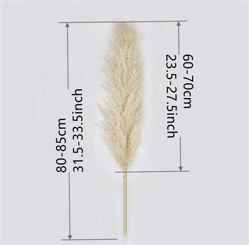 Pampasgras - Boho Natur - 80-120cm Vasendekor