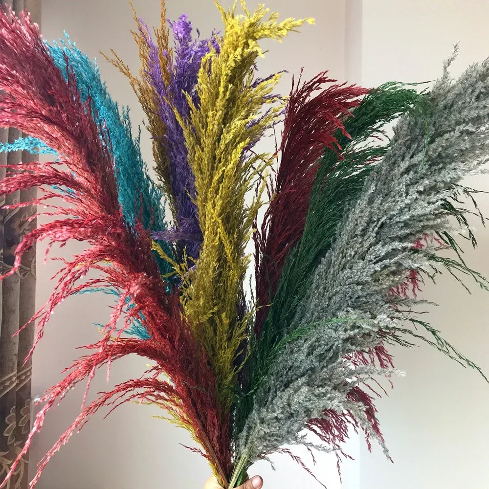 Pampasgras - Boho Natur - 80-120cm Vasendekor