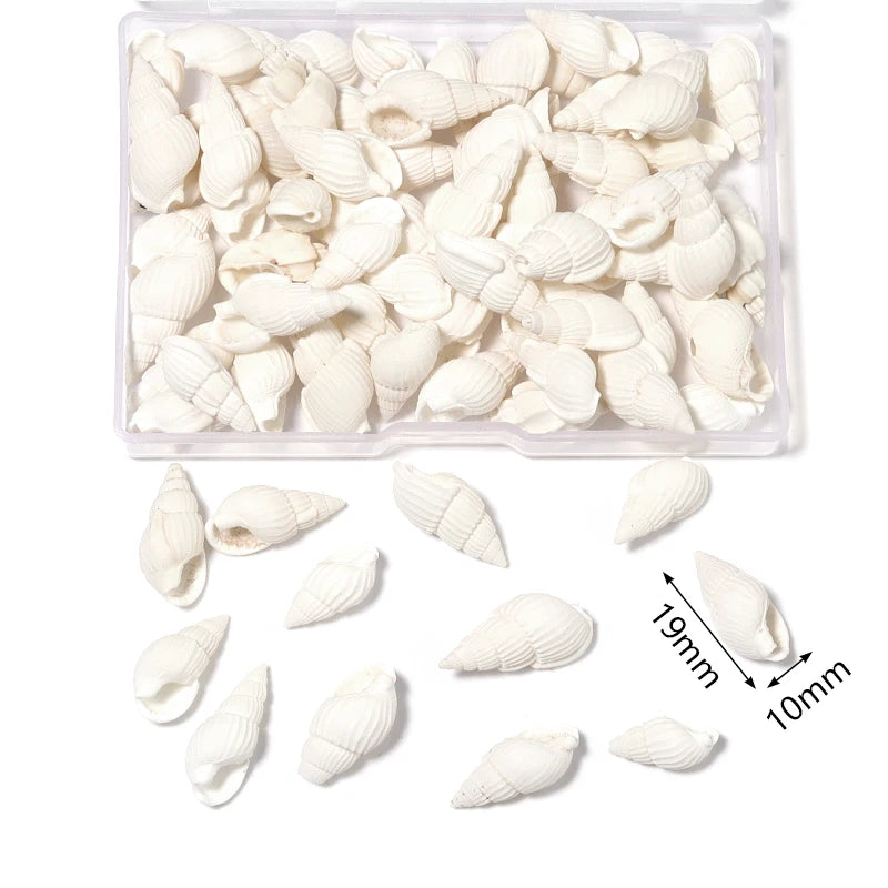 Ocean Spiral Seashells – Stilvolles Set für Wohnaccessoires