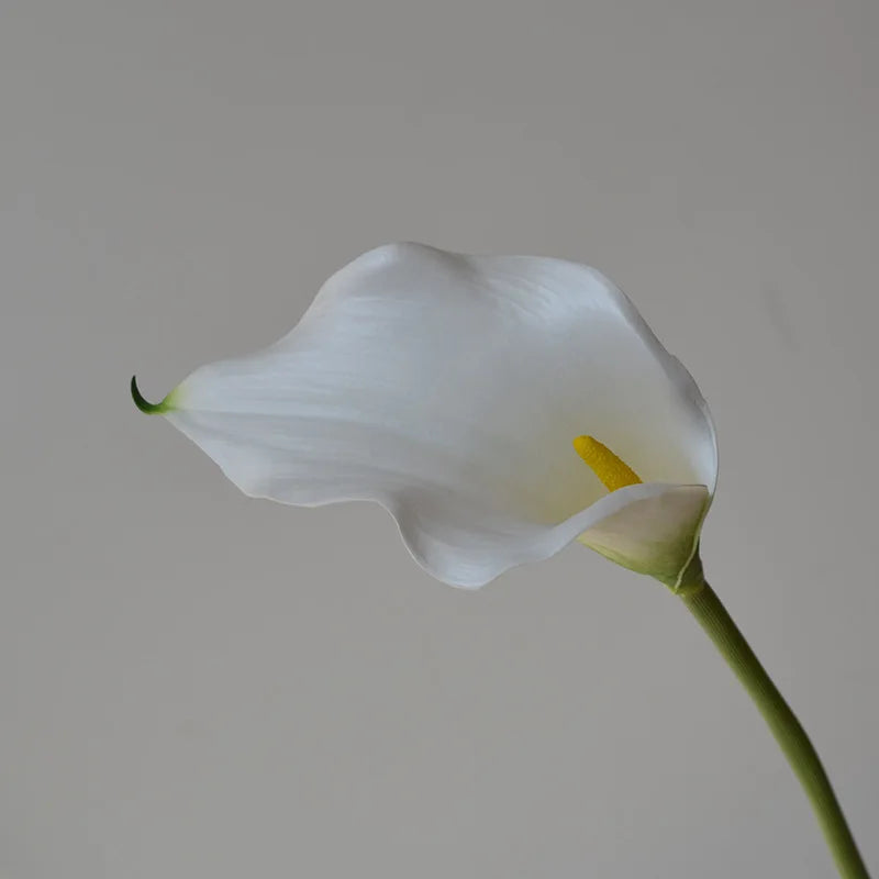Künstliche Calla-Lilie – Eleganter Blütenzweig – 62cm Set