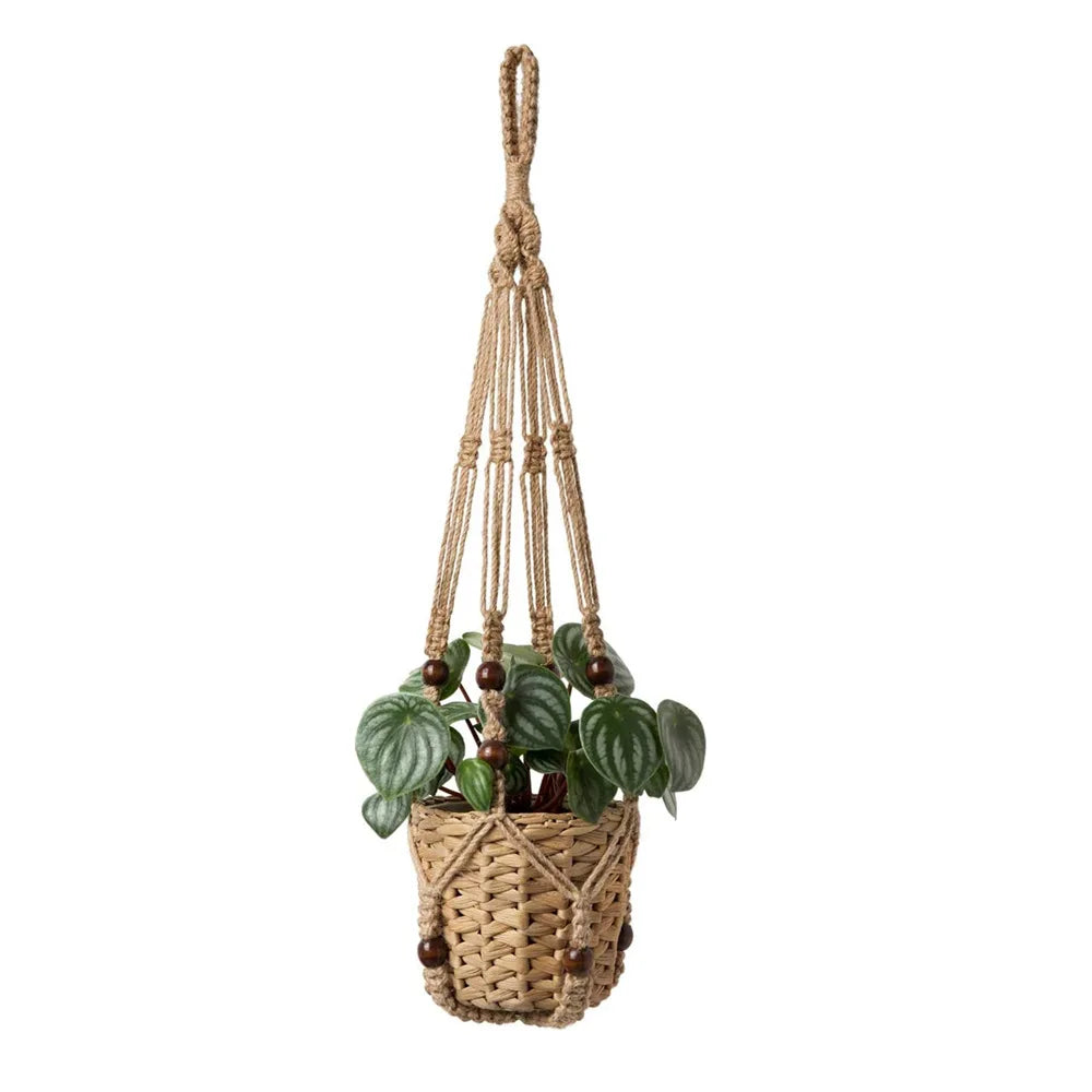 Handgemachter Pflanzenhänger – Boho Makramee Design – Innenbereich