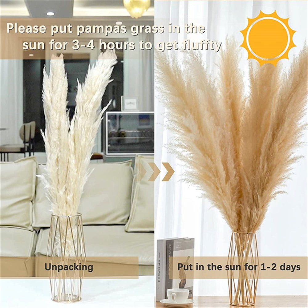 Pampasgras - Boho Natur - 80-120cm Vasendekor