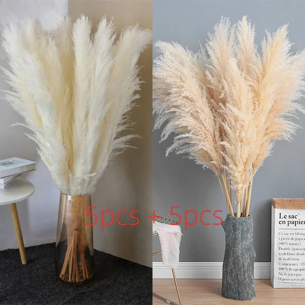 Pampasgras - Boho Natur - 80-120cm Vasendekor
