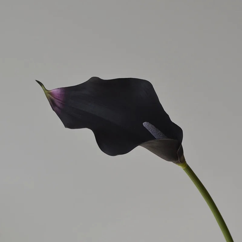Künstliche Calla-Lilie – Eleganter Blütenzweig – 62cm Set