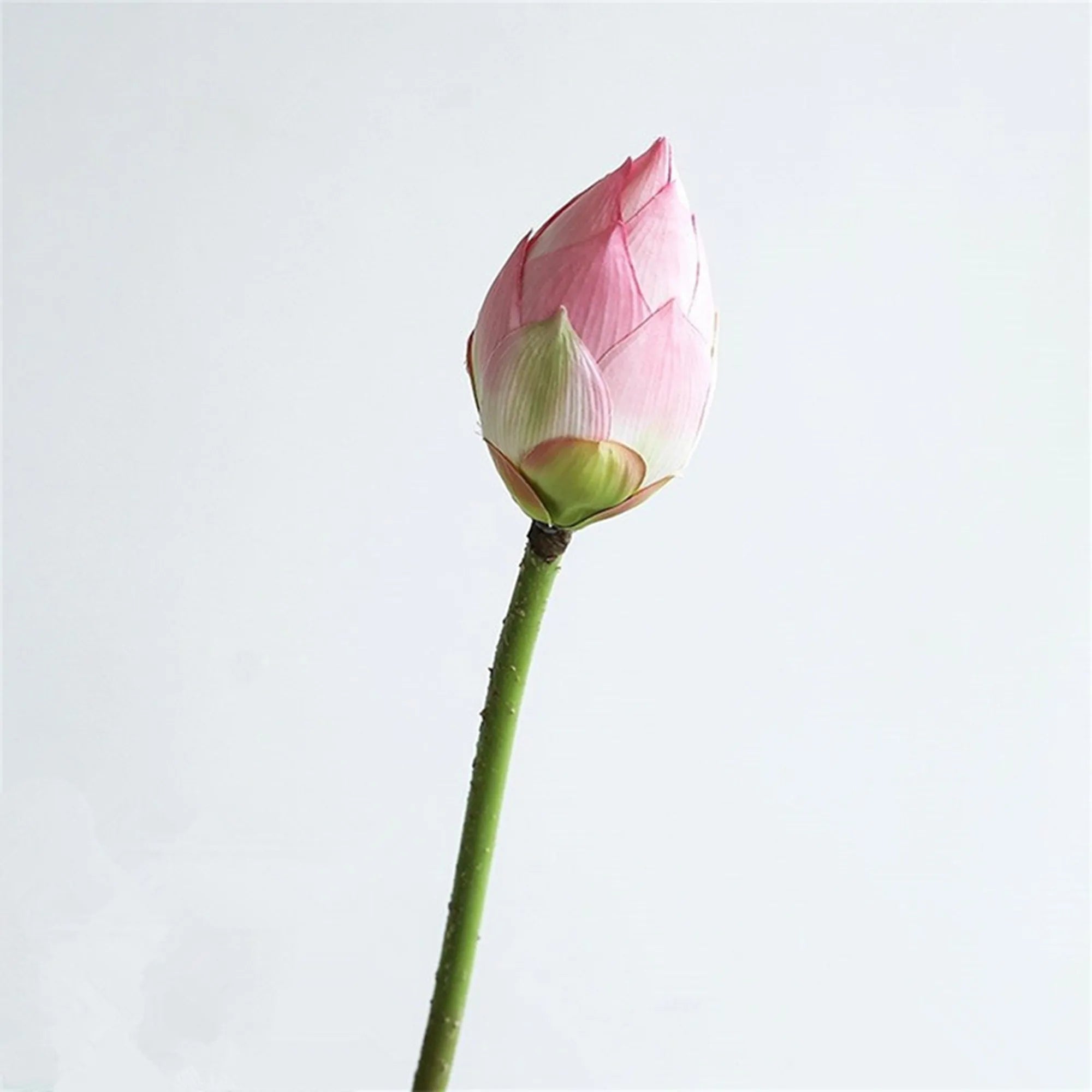 Künstliche Lotusblumen – Echtwirkendes Design – 83 cm