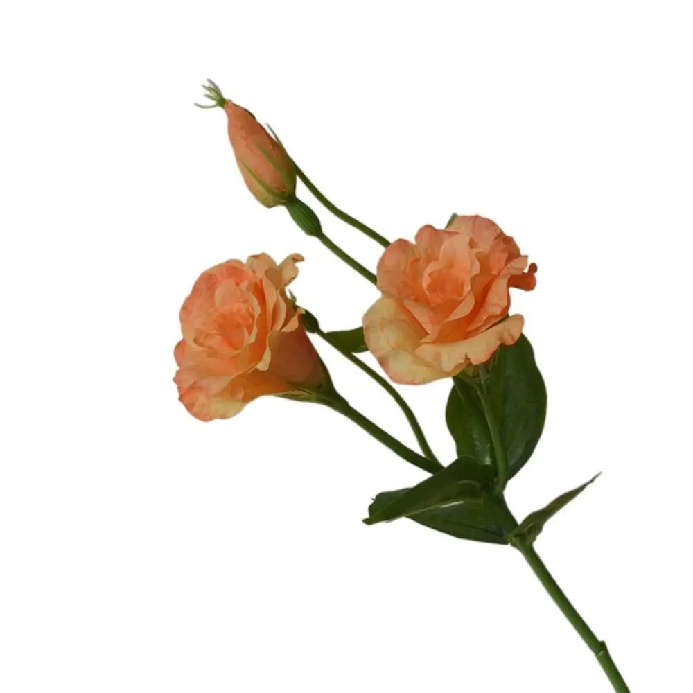 Real Touch Seiden-Lisianthus Bouquet – Innendekor