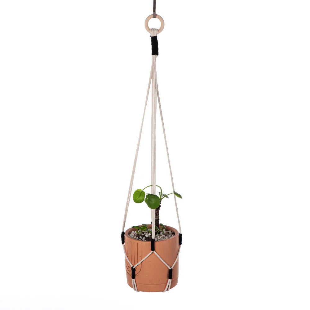 Handgemachter Pflanzenhänger – Boho Makramee Design – Innenbereich
