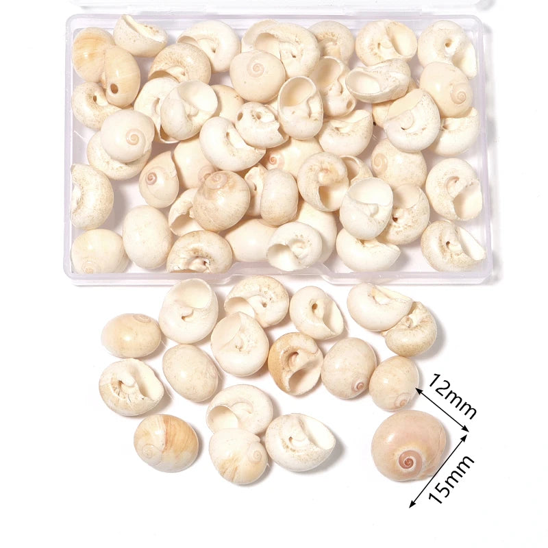 Ocean Spiral Seashells – Stilvolles Set für Wohnaccessoires
