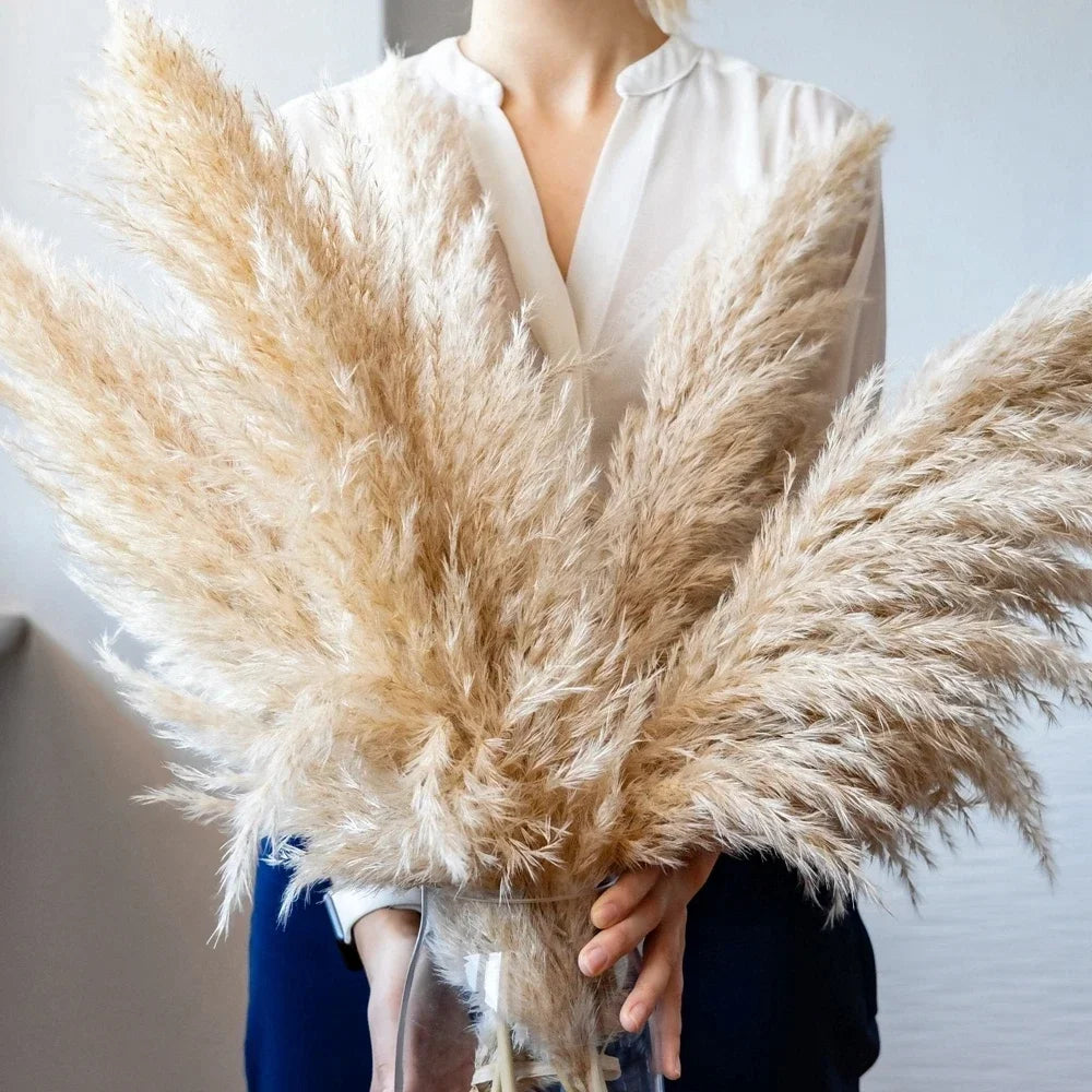 Pampasgras - Boho Natur - 80-120cm Vasendekor