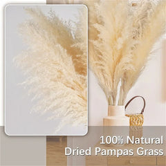 Pampasgras - Boho Natur - 80-120cm Vasendekor