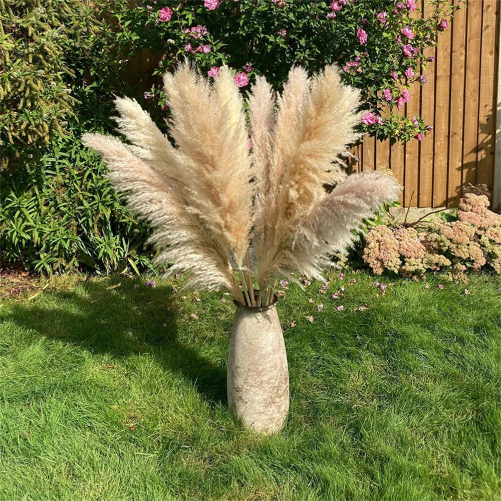 Pampasgras - Boho Natur - 80-120cm Vasendekor