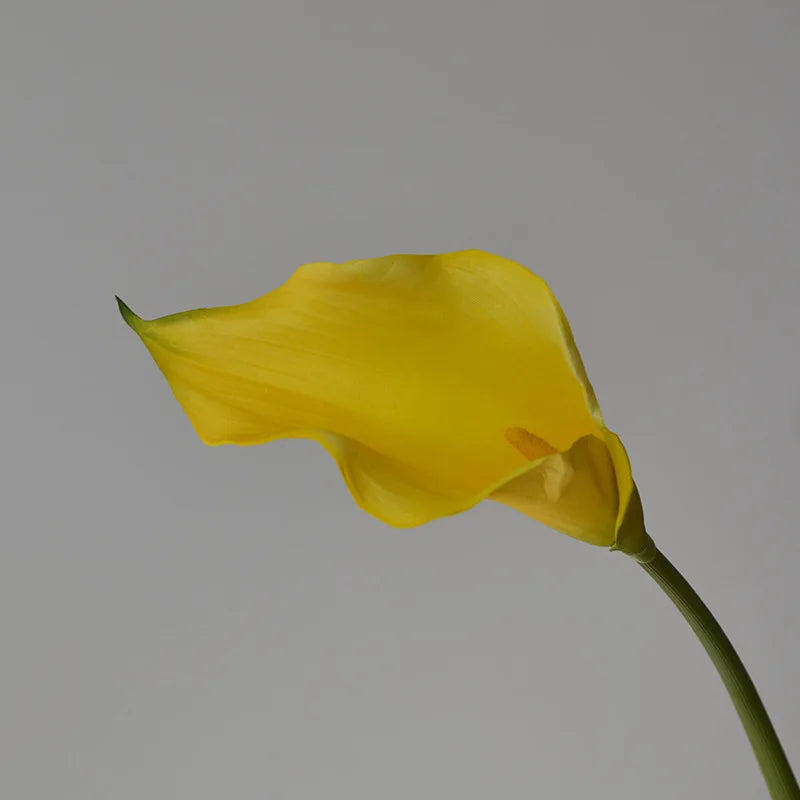 Künstliche Calla-Lilie – Eleganter Blütenzweig – 62cm Set