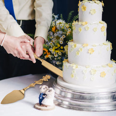 Kuchentools – Gold Retro Zinklegierung – Hochzeiten & Partys