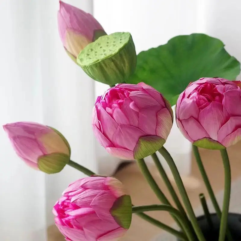 Lotusblüte Deko – Elegantes Design – Innenbereich
