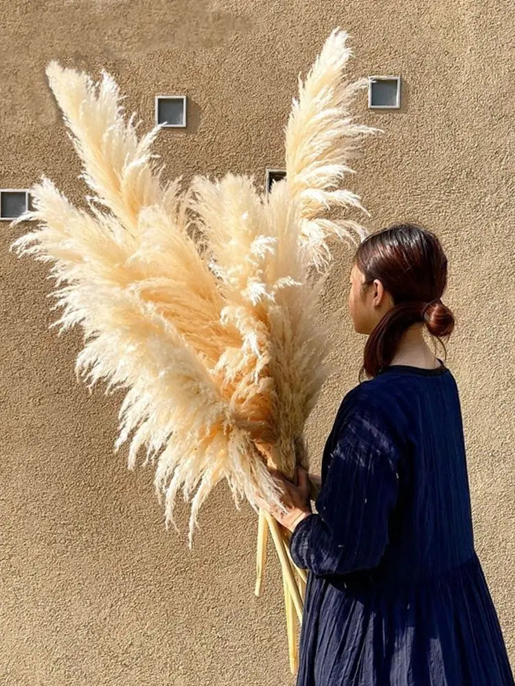 Pampasgras - Boho Natur - 80-120cm Vasendekor