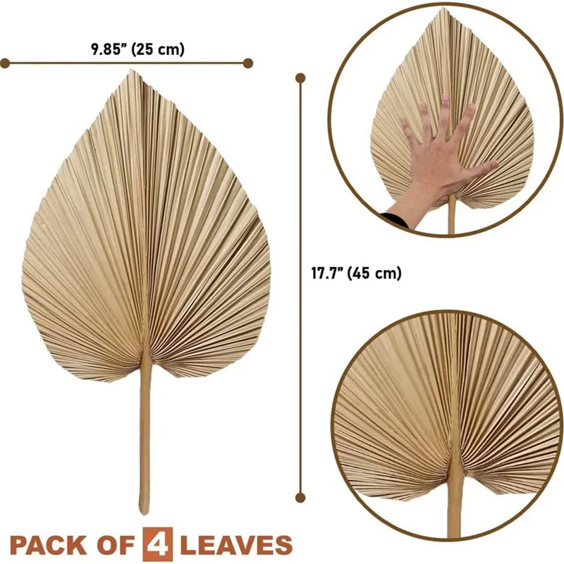 Getrocknete Palmblätter – Boho Natur Deko 45x25cm