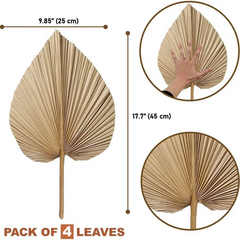 Getrocknete Palmblätter – Boho Natur Deko 45x25cm