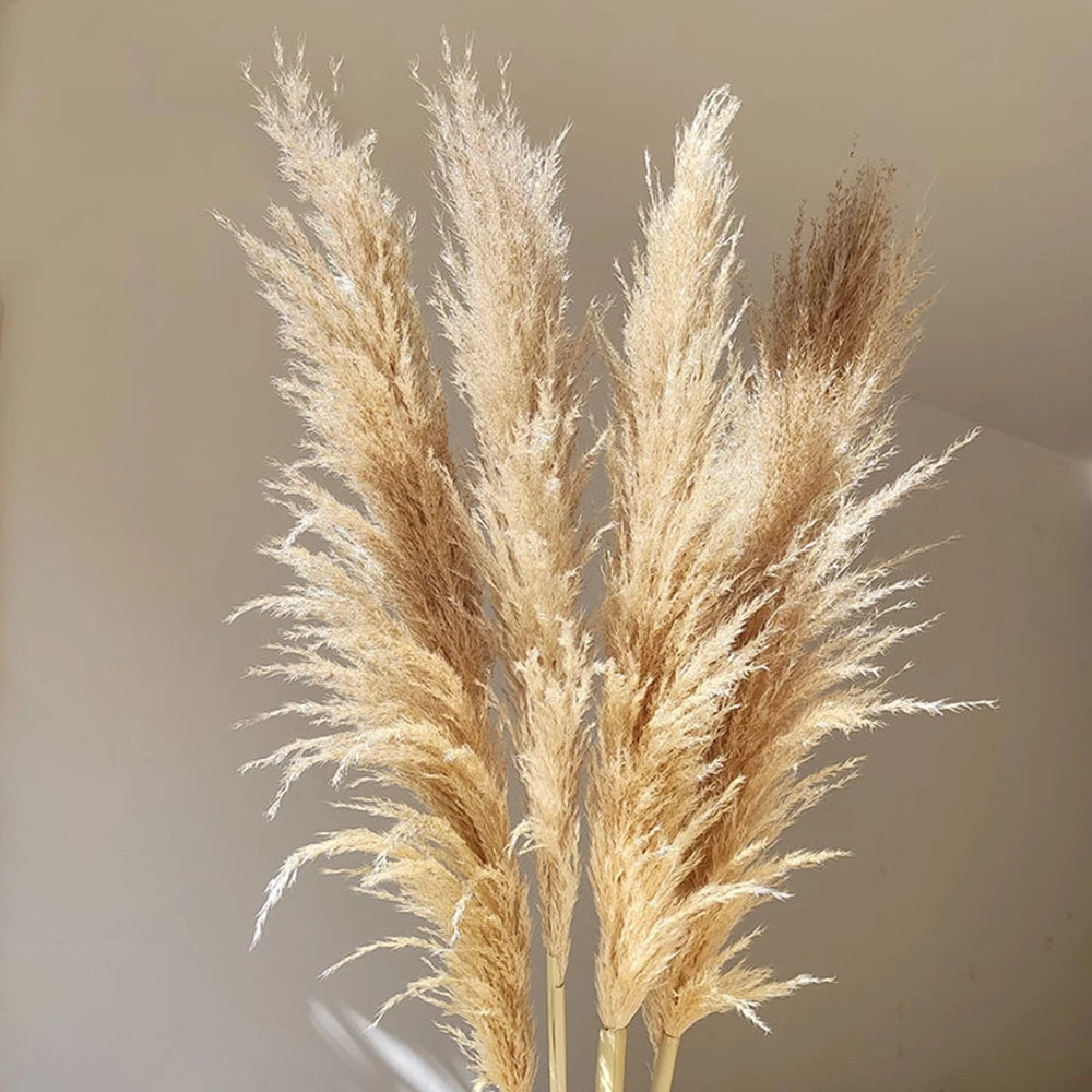 Pampasgras - Boho Natur - 80-120cm Vasendekor