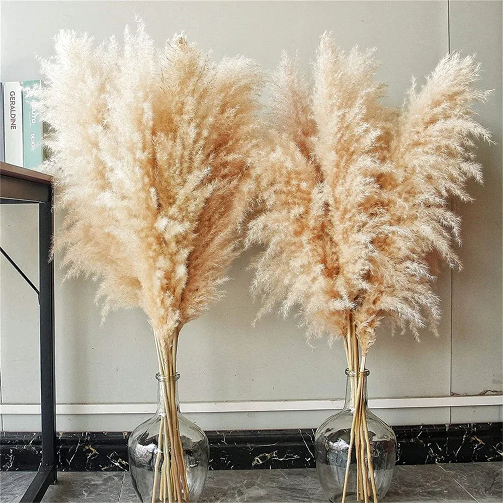 Pampasgras - Boho Natur - 80-120cm Vasendekor