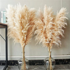 Pampasgras - Boho Natur - 80-120cm Vasendekor