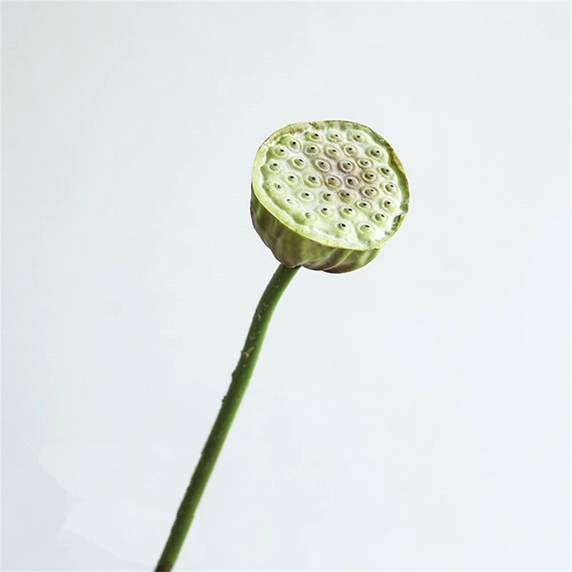 Künstliche Lotusblumen – Echtwirkendes Design – 83 cm