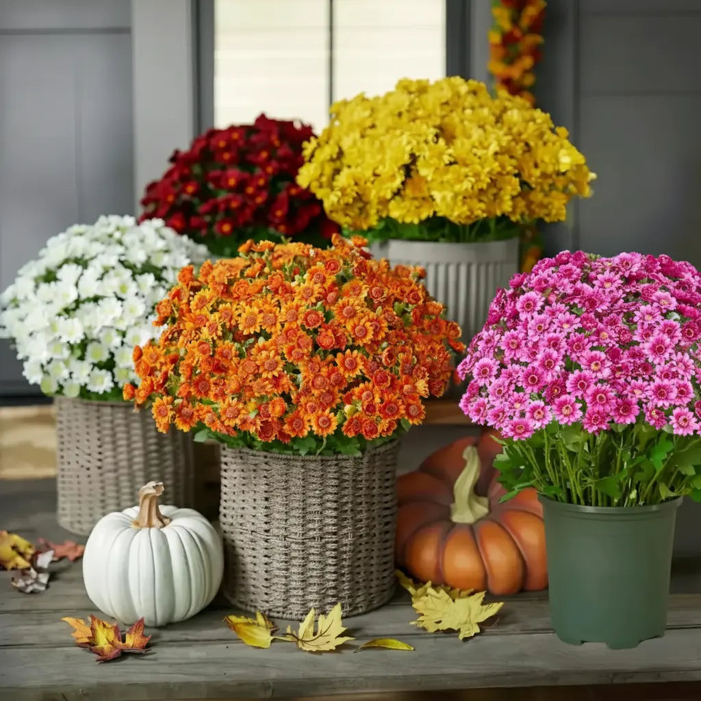 Künstliche Sunset-Mumien – Seidenstrauss – Indoor/Outdoor