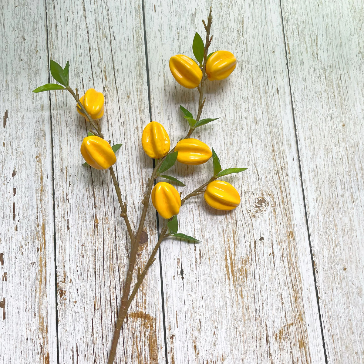 Sternfrucht Dekor – Modernes Wohnaccessoire – 62cm