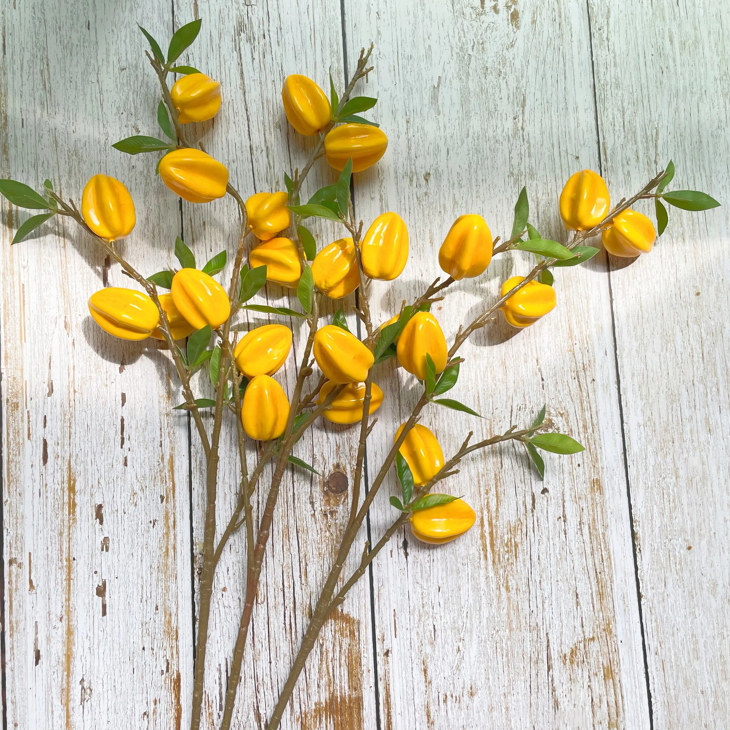 Sternfrucht Dekor – Modernes Wohnaccessoire – 62cm