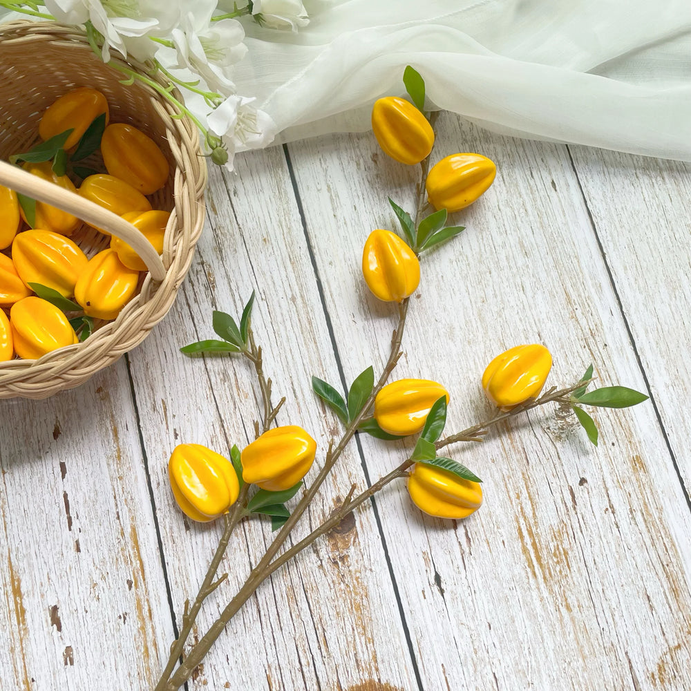 Sternfrucht Dekor – Modernes Wohnaccessoire – 62cm