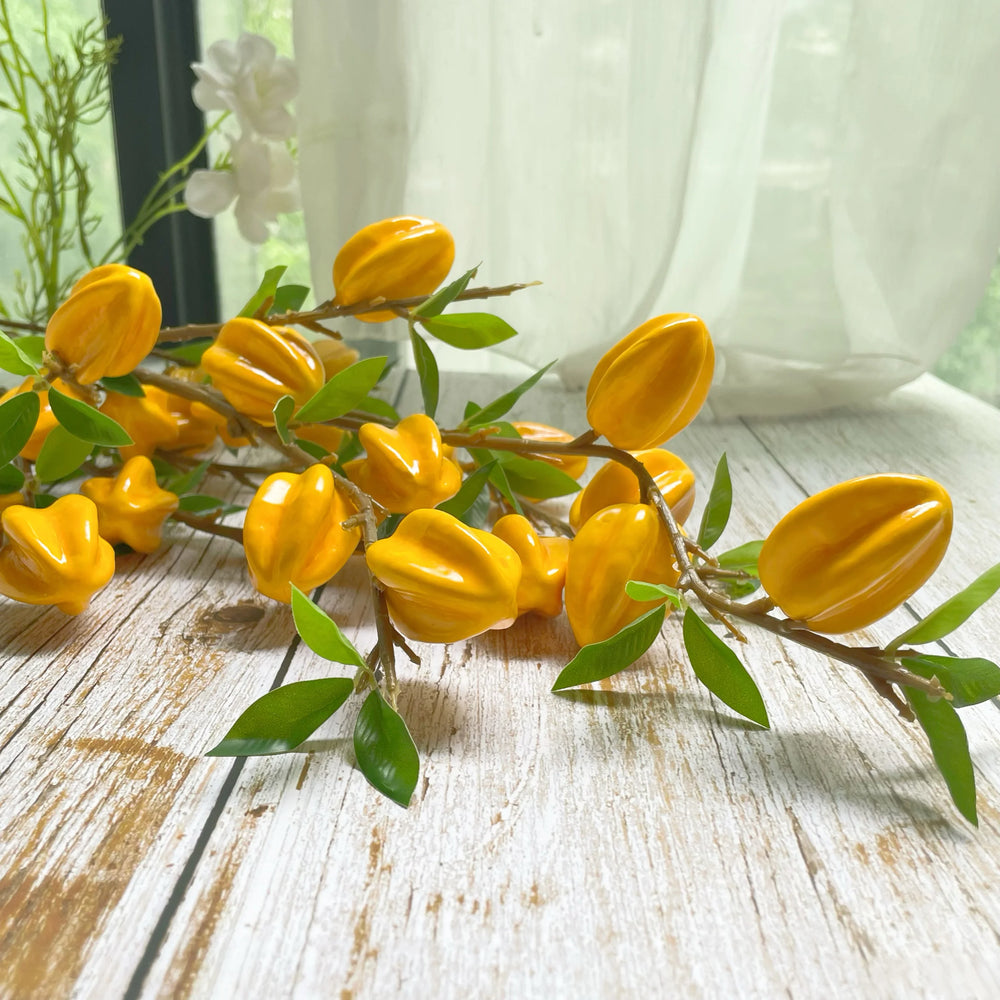 Sternfrucht Dekor – Modernes Wohnaccessoire – 62cm