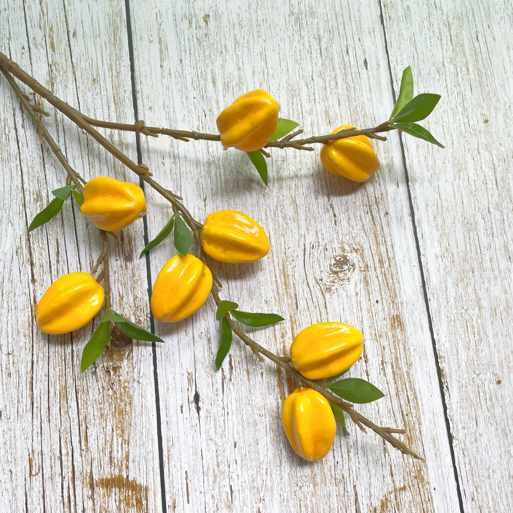 Sternfrucht Dekor – Modernes Wohnaccessoire – 62cm