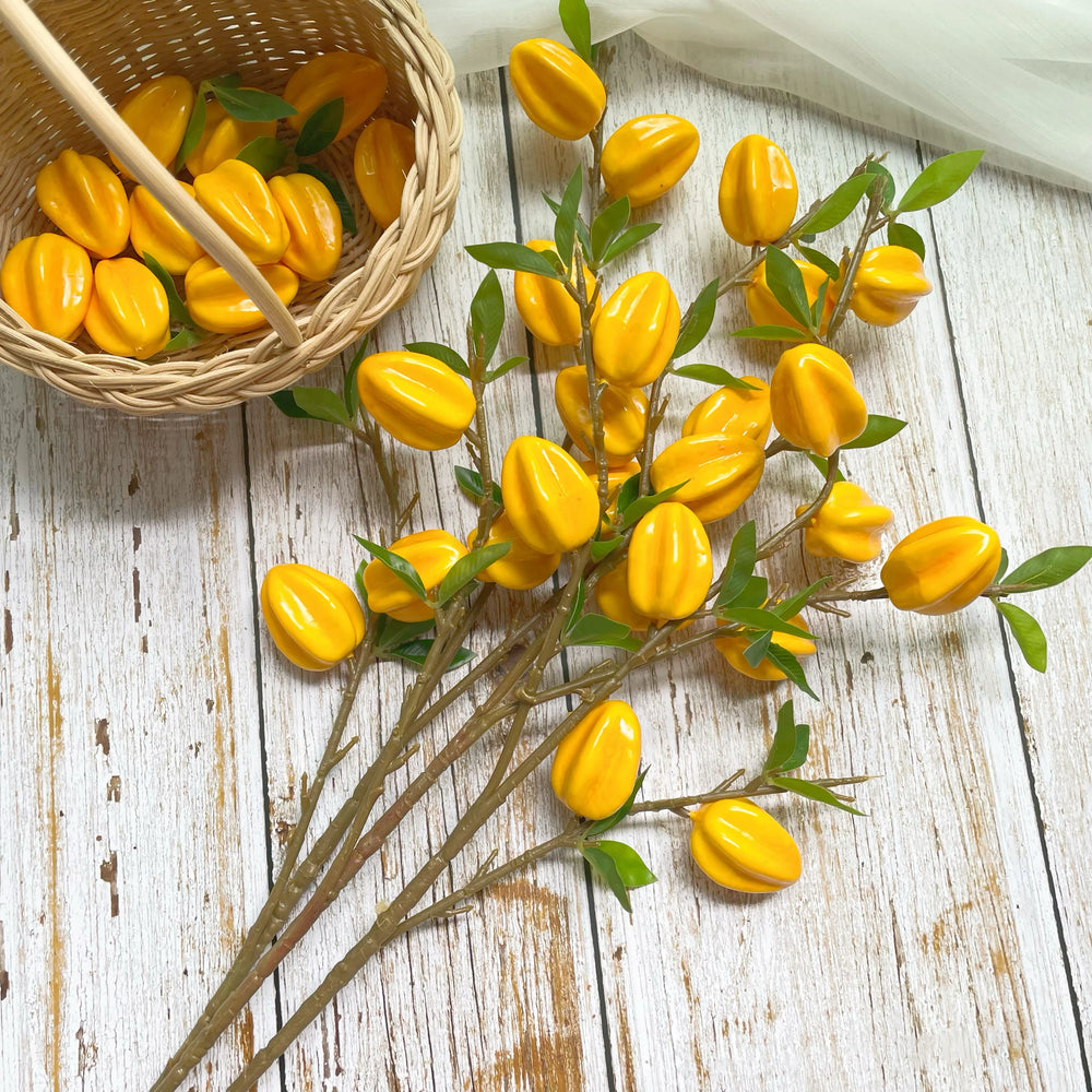 Sternfrucht Dekor – Modernes Wohnaccessoire – 62cm